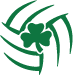 Berrien Springs Shamrock Volleyball